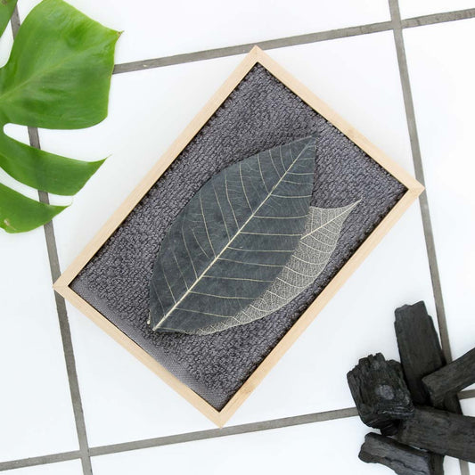 Soap leaves - Coconut charcoal
