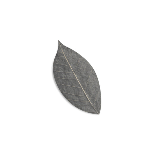 Såpeblad – Kokoskull